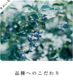 品種へのこだわり