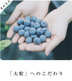 「大粒」へのこだわり