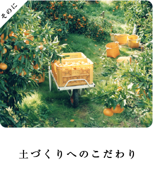 土づくりへのこだわり